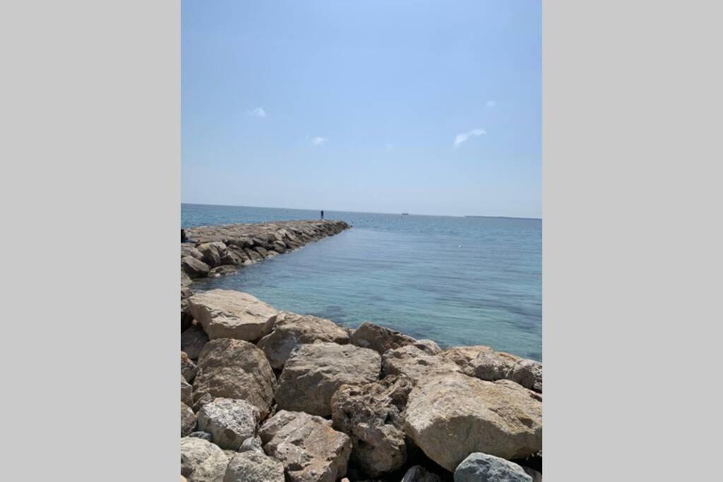 Juan Les Pins Joli T2 Parking Inclus! Apartment Antibes Exterior photo